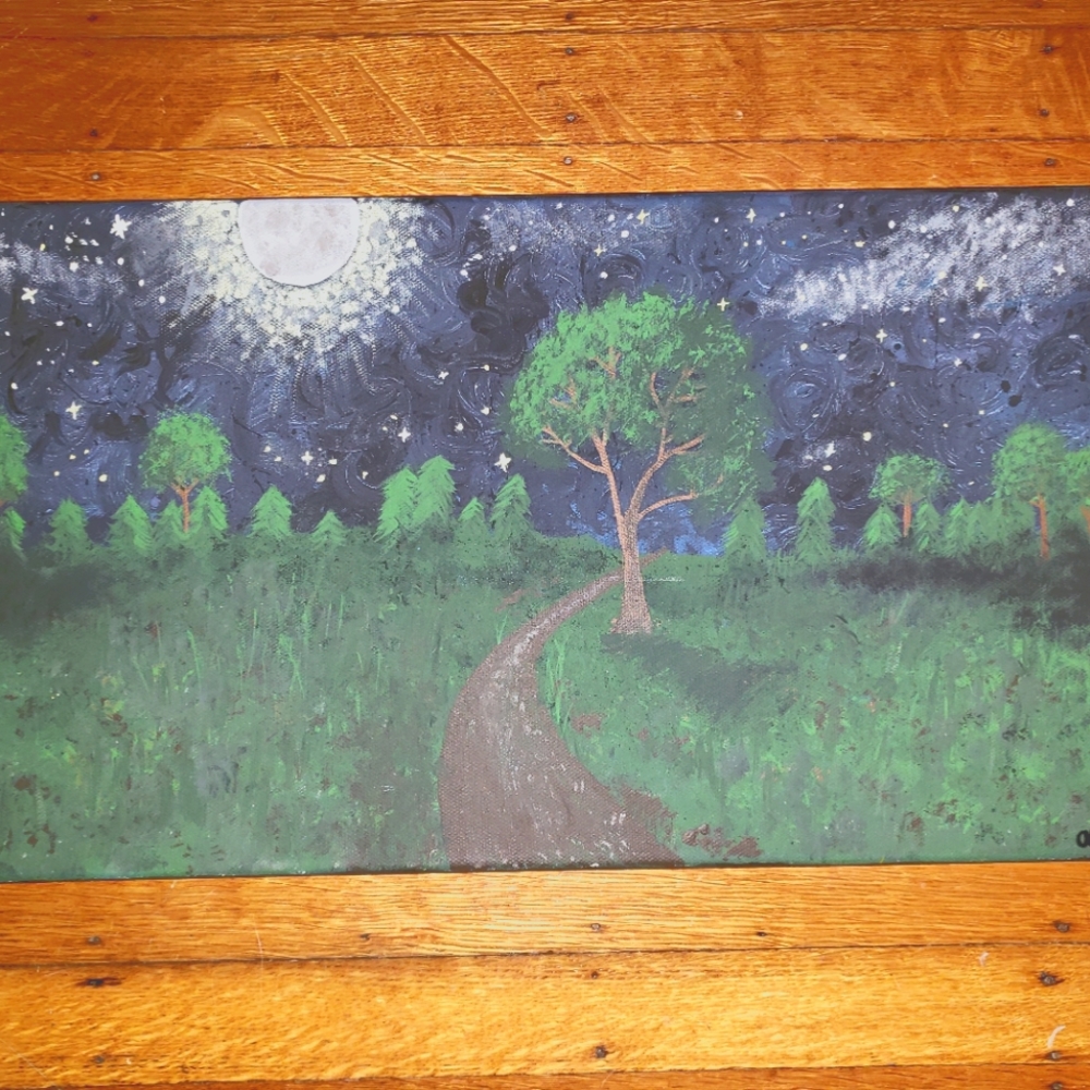 Original acrylic painting on 10x20 inch canvas